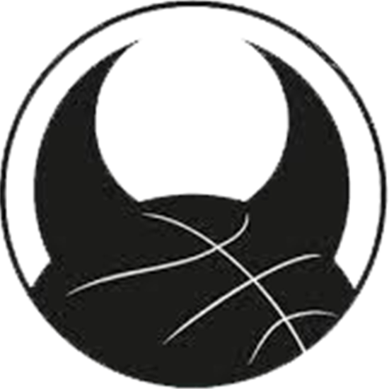 Basketball club Logo